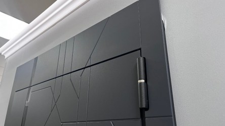 Входная дверь Олива